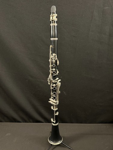 Buffet plastic b12 - plastic, student
